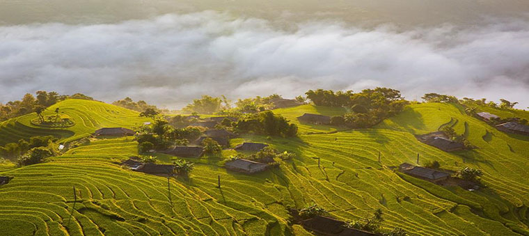 Où visiter les rizières en terrasses au Vietnam 1