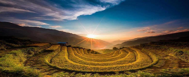 Où visiter les rizières en terrasses au Vietnam 2