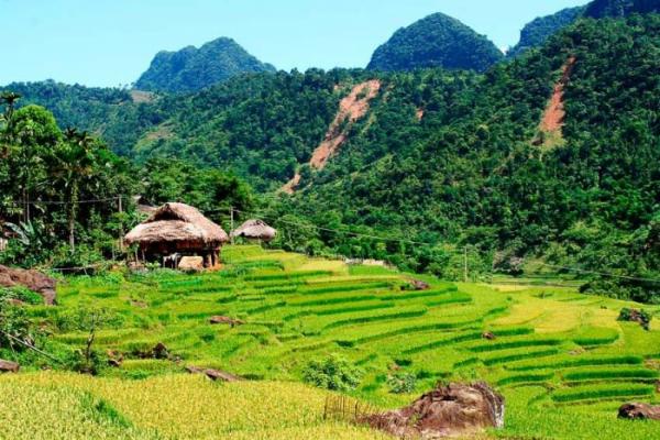 Où visiter les rizières en terrasses au Vietnam 3