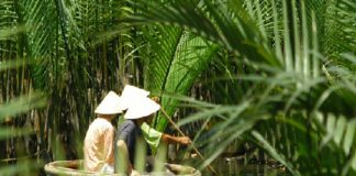 trek dans la montagne au Nord Vietnam