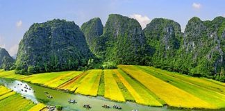 Van Long baie Halong terrestre