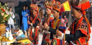 Dao Vietnam