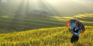 Voyage au Vietnam en automne 2