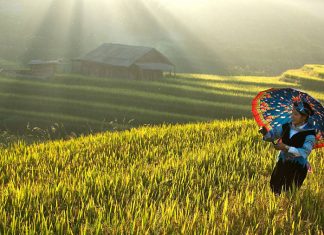 Voyage au Vietnam en automne 2