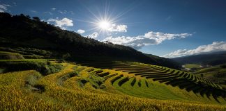 3 semaines au Vietnam