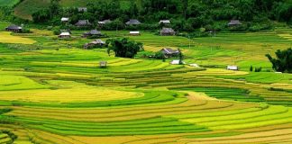 Tu Le Nord Vietnam