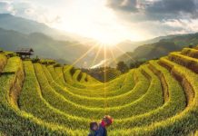 Où visiter les rizières en terrasses au Vietnam