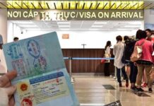 Comment remplir le e-visa Vietnam 1