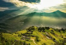 rizières en terrasse spectaculaires au Vietnam 1