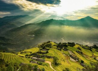 rizières en terrasse spectaculaires au Vietnam 1