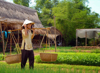 Visiter le village de Tra Que Hoi An