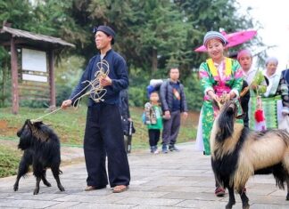 marchés des ethnies dans le Nord du Vietnam 22