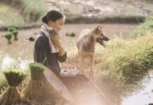 Manger du chien au Vietnam