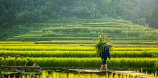 Voyage à Pu Luong 1