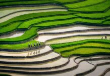 Quel temps fait-il au Vietnam en juin