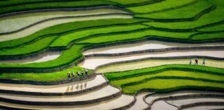 Quel temps fait-il au Vietnam en juin