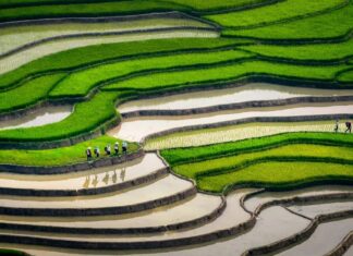 Quel temps fait-il au Vietnam en juin