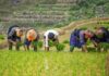 meilleurs endroits à visiter au Vietnam