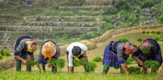 meilleurs endroits à visiter au Vietnam