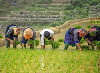 meilleurs endroits à visiter au Vietnam