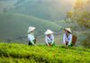 Partir au Vietnam pas cher
