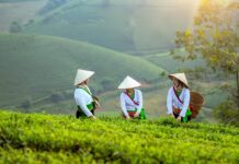 Partir au Vietnam pas cher