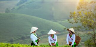 Partir au Vietnam pas cher