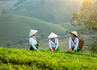 Partir au Vietnam pas cher