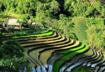 Pourquoi voyager au Vietnam