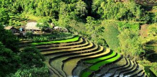 Pourquoi voyager au Vietnam