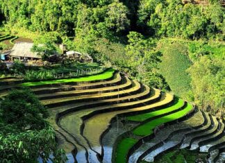 Pourquoi voyager au Vietnam