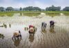 préparer votre premier voyage au Vietnam