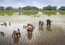 préparer votre premier voyage au Vietnam