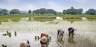 préparer votre premier voyage au Vietnam