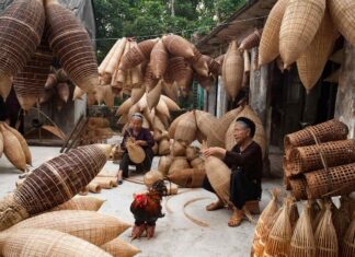 Quel est le moyen le moins cher de voyager au Vietnam