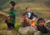 Visiter le Nord du Vietnam