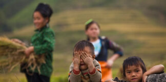 Visiter le Nord du Vietnam