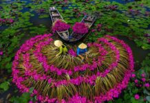 Voyage sur mesure au Vietnam avec guide et chauffeur francophone 1
