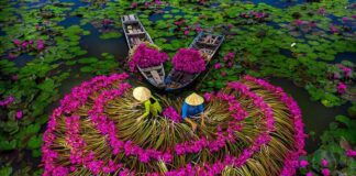 Voyage sur mesure au Vietnam avec guide et chauffeur francophone 1