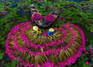 Voyage sur mesure au Vietnam avec guide et chauffeur francophone 1