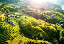 billet d’avion pas cher pour le Vietnam