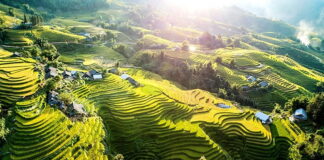 billet d’avion pas cher pour le Vietnam