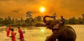 Découvrir le village Don 1