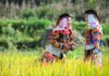 Ethnie Lolo au Nord du Vietnam