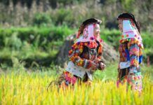 Ethnie Lolo au Nord du Vietnam
