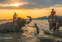 Festival des éléphants de Buon Don 1