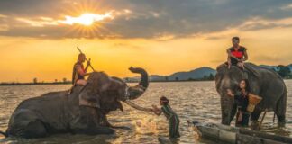 Festival des éléphants de Buon Don 1