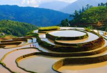 rizières en terrasse de Mu Cang Chai au Vietnam