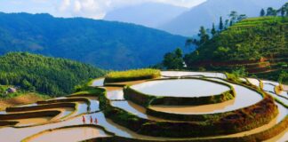 rizières en terrasse de Mu Cang Chai au Vietnam