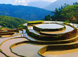 rizières en terrasse de Mu Cang Chai au Vietnam